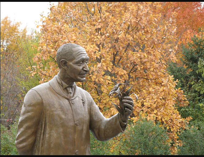 Screenshot 2018-02-07 at 2.32.51 PM - Edited