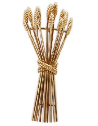 Screenshot 2018-10-15 at 8.24.03 PM - Edited