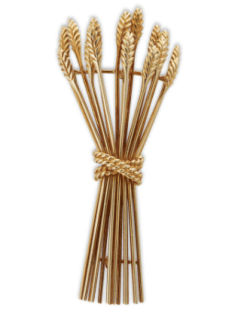 Screenshot 2018-10-15 at 8.24.03 PM - Edited