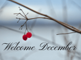 Screenshot 2018-12-01 at 10.46.10 AM.png