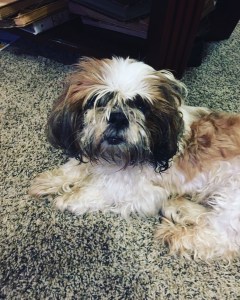 690de3ef-5b96-478e-951b-3f72b92910a6